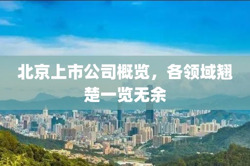 北京上市公司概览，各领域翘楚一览无余