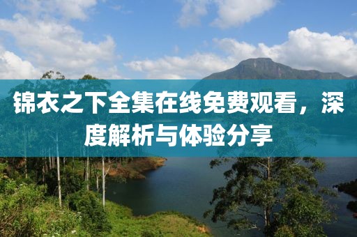 锦衣之下全集在线免费观看，深度解析与体验分享