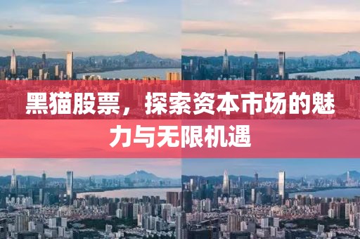 黑猫股票，探索资本市场的魅力与无限机遇