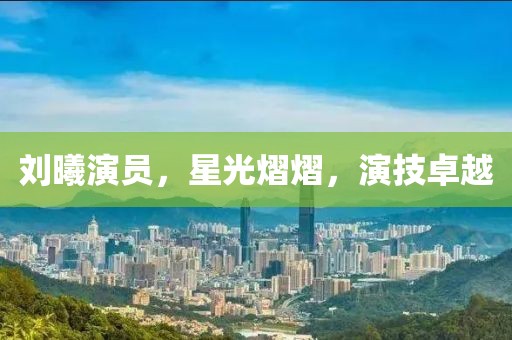 刘曦演员，星光熠熠，演技卓越