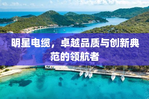 明星电缆，卓越品质与创新典范的领航者