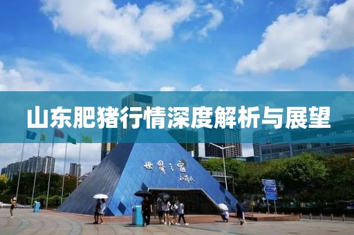 山东肥猪行情深度解析与展望