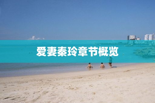 爱妻秦玲章节概览