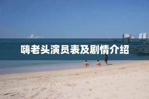 嗨老头演员表及剧情介绍