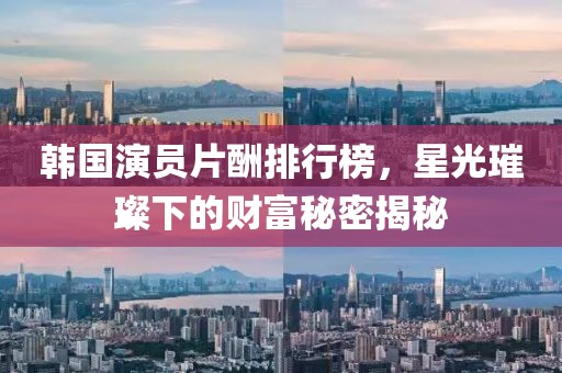 韩国演员片酬排行榜，星光璀璨下的财富秘密揭秘