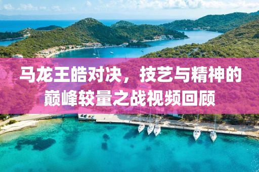 马龙王皓对决，技艺与精神的巅峰较量之战视频回顾