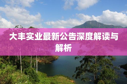 大丰实业最新公告深度解读与解析