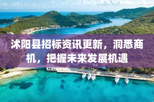 沭阳县招标资讯更新，洞悉商机，把握未来发展机遇