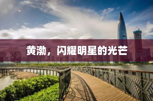 黄渤，闪耀明星的光芒