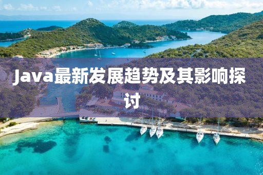 Java最新发展趋势及其影响探讨