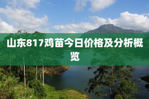 山东817鸡苗今日价格及分析概览