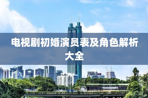电视剧初婚演员表及角色解析大全