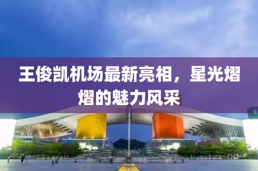 王俊凯机场最新亮相，星光熠熠的魅力风采