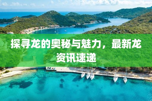 探寻龙的奥秘与魅力，最新龙资讯速递