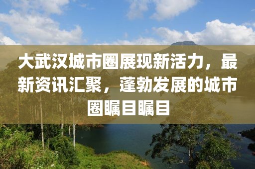 大武汉城市圈展现新活力，最新资讯汇聚，蓬勃发展的城市圈瞩目瞩目