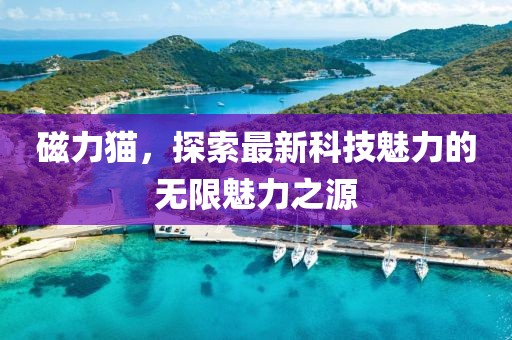 紫夜雪舞 第3页