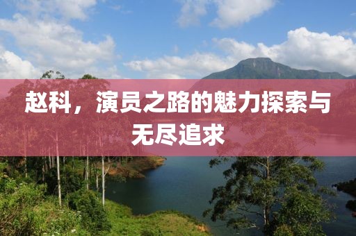 赵科，演员之路的魅力探索与无尽追求