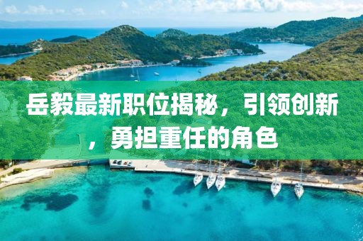 岳毅最新职位揭秘，引领创新，勇担重任的角色