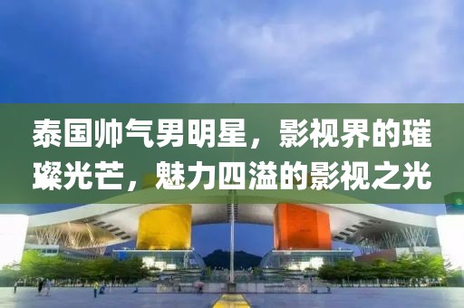 泰国帅气男明星，影视界的璀璨光芒，魅力四溢的影视之光