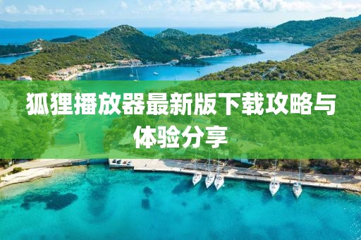 狐狸播放器最新版下载攻略与体验分享