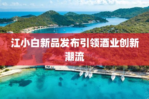 江小白新品发布引领酒业创新潮流