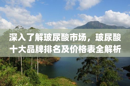 深入了解玻尿酸市场，玻尿酸十大品牌排名及价格表全解析