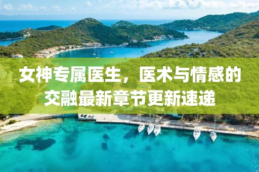 女神专属医生，医术与情感的交融最新章节更新速递