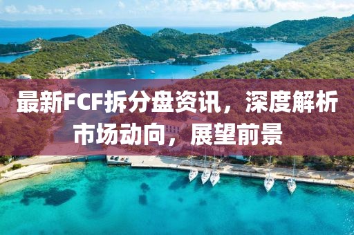 最新FCF拆分盘资讯，深度解析市场动向，展望前景