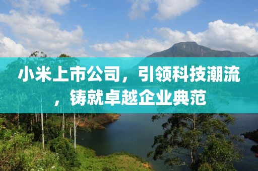小米上市公司，引领科技潮流，铸就卓越企业典范