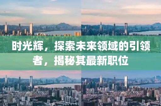 时光辉，探索未来领域的引领者，揭秘其最新职位