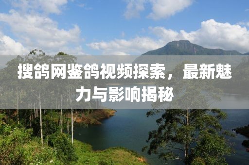 搜鸽网鉴鸽视频探索，最新魅力与影响揭秘
