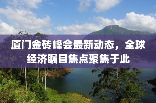 厦门金砖峰会最新动态，全球经济瞩目焦点聚焦于此