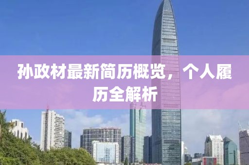 孙政材最新简历概览，个人履历全解析