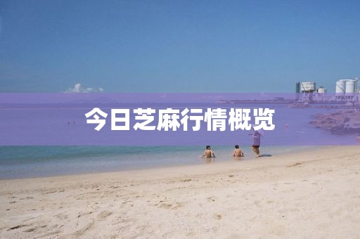 今日芝麻行情概览