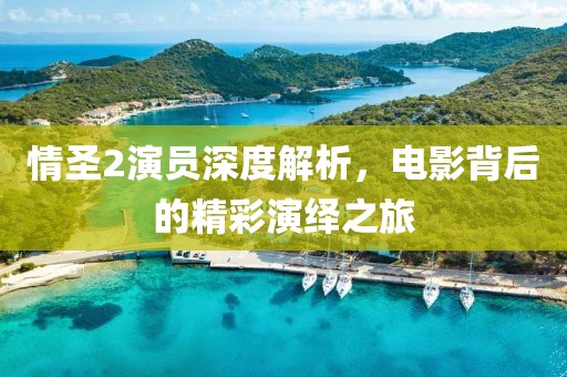 情圣2演员深度解析，电影背后的精彩演绎之旅