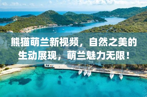 熊猫萌兰新视频，自然之美的生动展现，萌兰魅力无限！