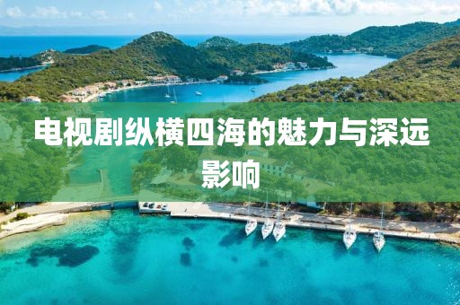 电视剧纵横四海的魅力与深远影响
