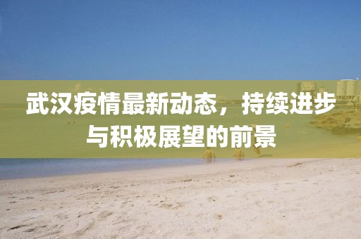 武汉疫情最新动态，持续进步与积极展望的前景