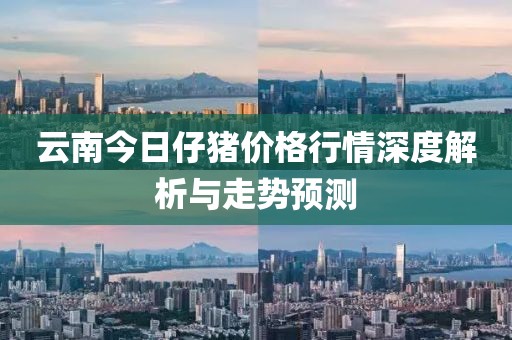 云南今日仔猪价格行情深度解析与走势预测