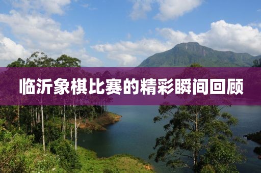 临沂象棋比赛的精彩瞬间回顾