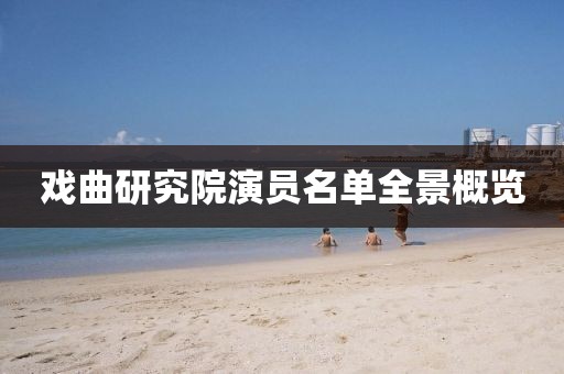 戏曲研究院演员名单全景概览