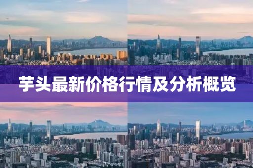 园区动态 第47页