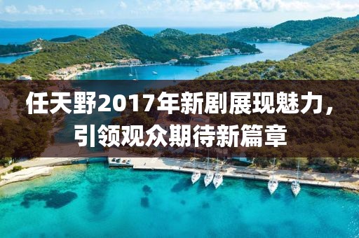 任天野2017年新剧展现魅力，引领观众期待新篇章