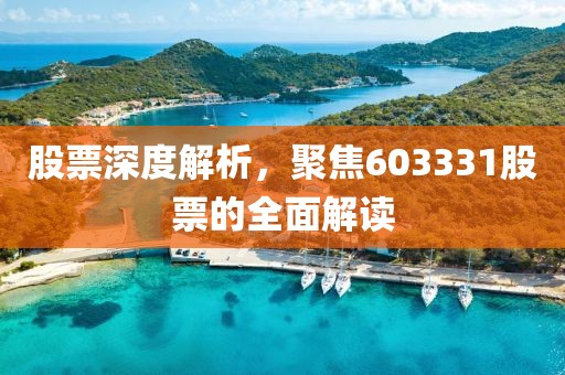 股票深度解析，聚焦603331股票的全面解读