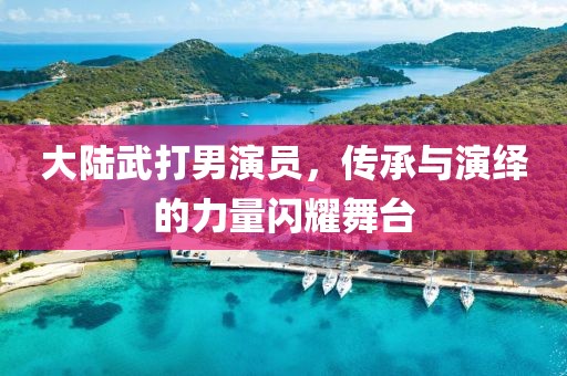 大陆武打男演员，传承与演绎的力量闪耀舞台