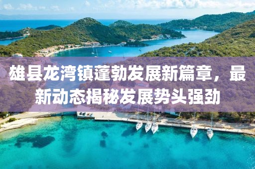 雄县龙湾镇蓬勃发展新篇章，最新动态揭秘发展势头强劲