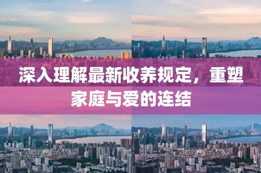 深入理解最新收养规定，重塑家庭与爱的连结