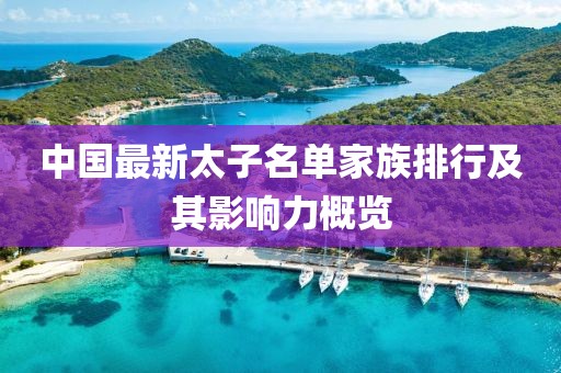中国最新太子名单家族排行及其影响力概览