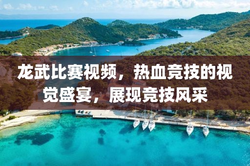 龙武比赛视频，热血竞技的视觉盛宴，展现竞技风采