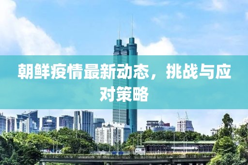 朝鲜疫情最新动态，挑战与应对策略